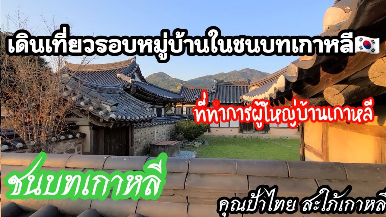 ep55บ้านคนเกาหลีในชนบท/พาเที่ยวรอบหมู่บ้าน/ที่ทำการผู้ใหญบ้านเกาหลี/วัวเกาหลี