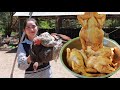 Catch Native Chicken and collect some vegetable at Home For My Recipe - Yummy Roasted Chicken Eating