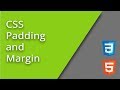How CSS Padding and Margin Works
