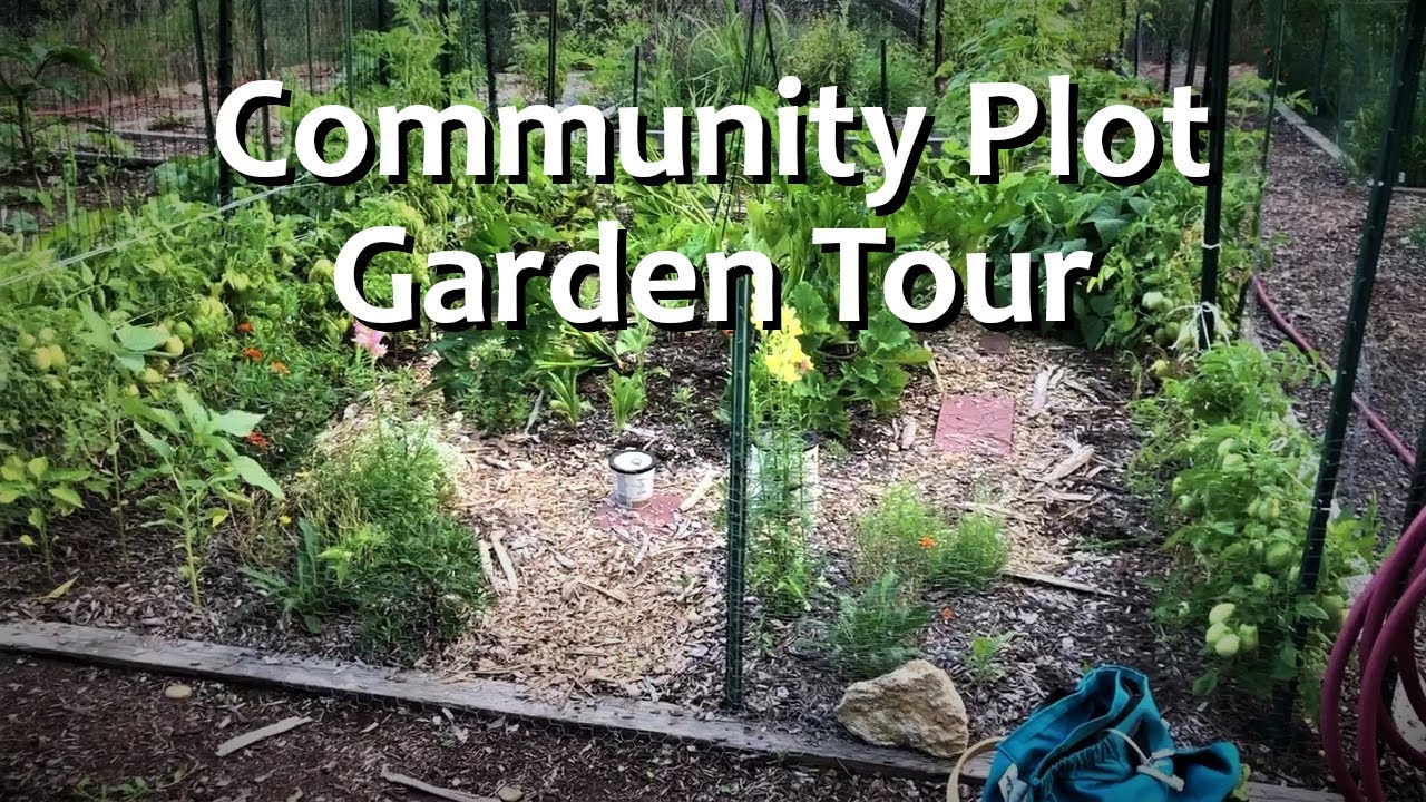 2023 Early August Garden Tour | Community Plot - YouTube