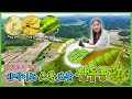 반짝이는 초록 보물 - 충남 당진  [6시N내고향] / KBS대전 방송