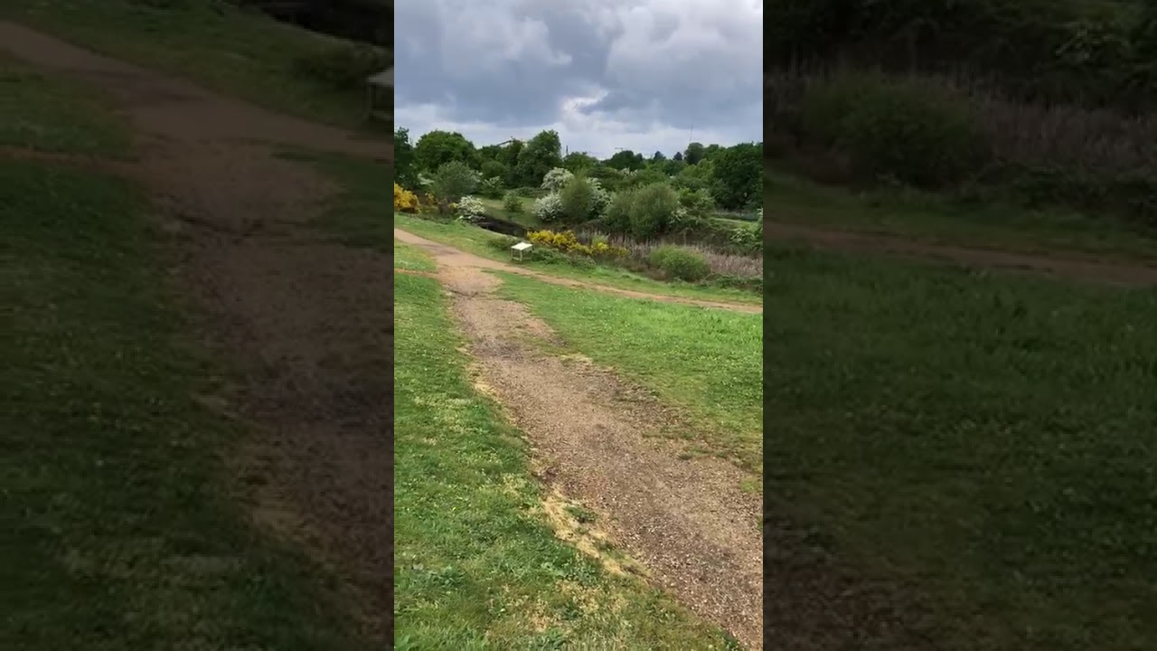 MINET   COUNTRY   PARK  ,LONDON