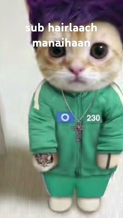 Guiy