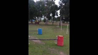 Jumping Ruby bareback