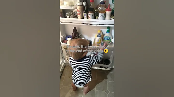 my one year organizes my refrigerator.
