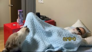[산범] 계란님 분장하고 침대에 누워있기 - ( 혁준이 리얼 빡췸,, ) / 몰카