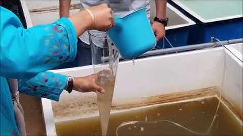 Workshop on the application of biofloc technology  part 1