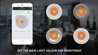 D1 LIGHTS -  CREATING AN ACTION