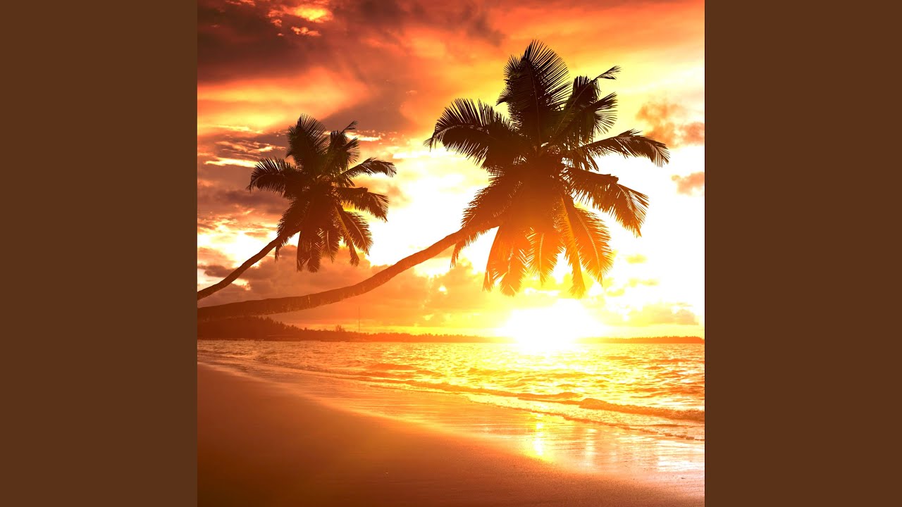 Mira Sunlight en YouTube Mira Sunlight en YouTube