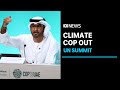 UAE’s COP-28 president claims ‘no science’ behind calls for fossil fuels phase-out | ABC News