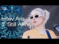 LAURAN HIBBERD - How Am I Still Alive (live @ Paper Sessions by OCB)