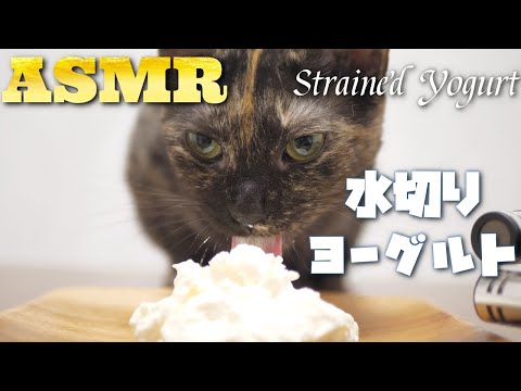 【ASMR】初めて見る水切りヨーグルトを舐めまくる猫の咀嚼音??