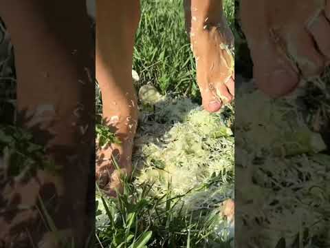 fun barefoot dancing 💃👣🥬
