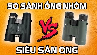 So Sánh Ống Nhòm Mavis Dragon 8X42 Ed Và Celestron Nature Dx 10X42, Săn Ong Siêu Đỉnh