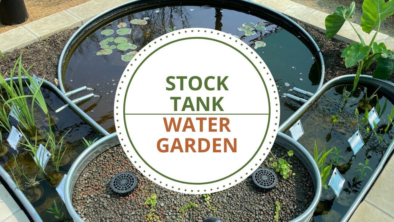 Stock Tank Water Garden - YouTube