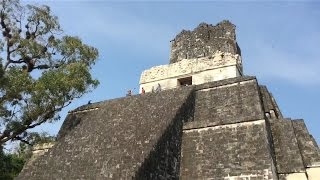 Tikal, Guatemala - Largest Mayan ruins!