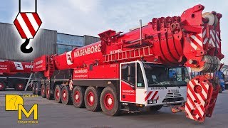 amazing powerful cranes TEREX DEMAG AC 700 +TEREX AC 500-2 oversize load in harbor