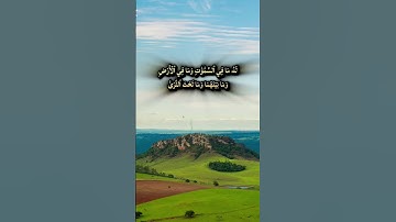سورة طه القارء سعود الفایز #اكسبلور #المصحف #quran #لايك