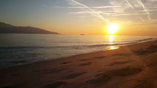 Calm Beach Waves &amp; Ocean Breeze 🌊 | 1 Hour Relaxing Seaside Ambience 🏖️