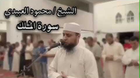 سورة الملك صوت فقط .. الشيخ محمود العبيدي