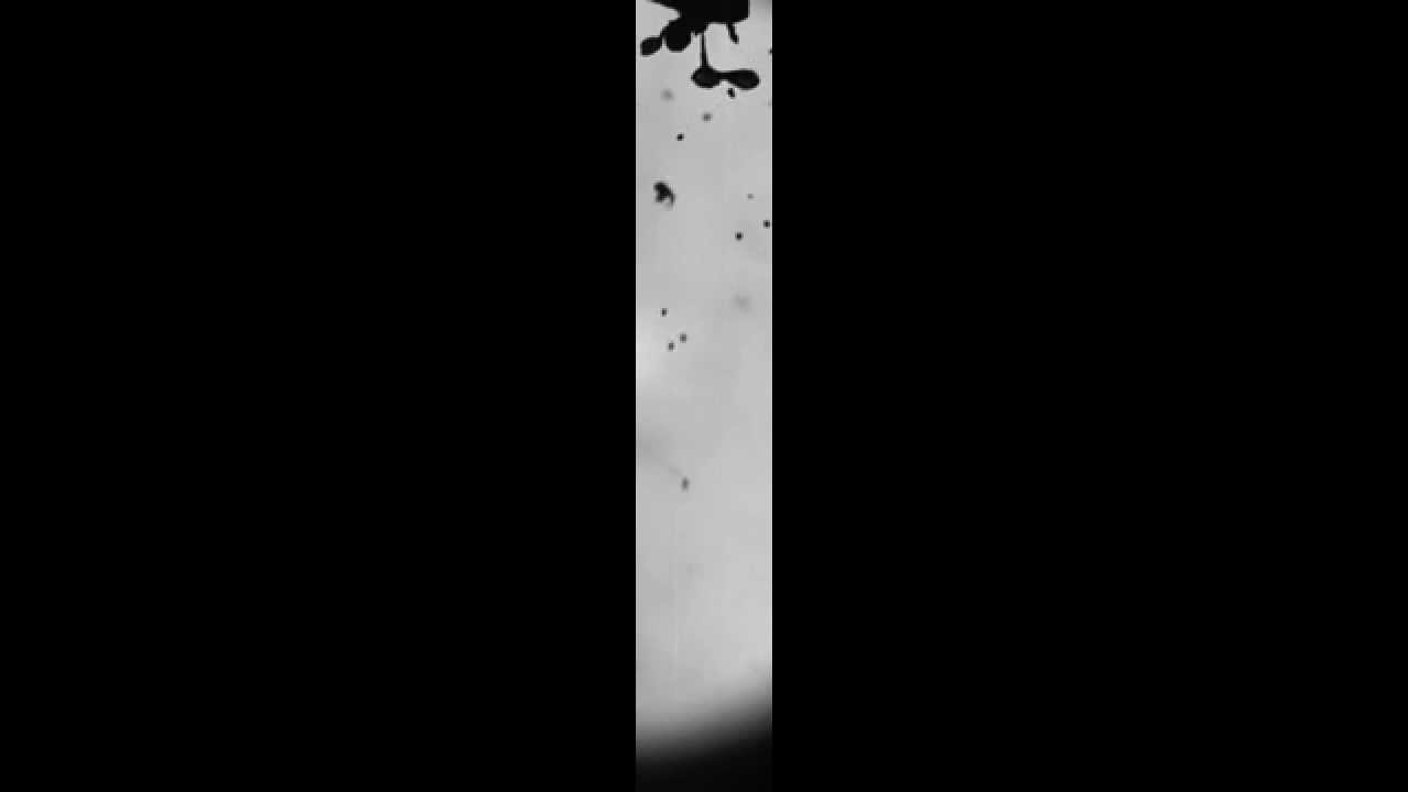 Annulus Relaxation and Spore Ejection recorded with 20.000 fps.