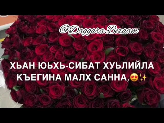 Нена йиша декъал йойла. Нена йиша декъал йойла