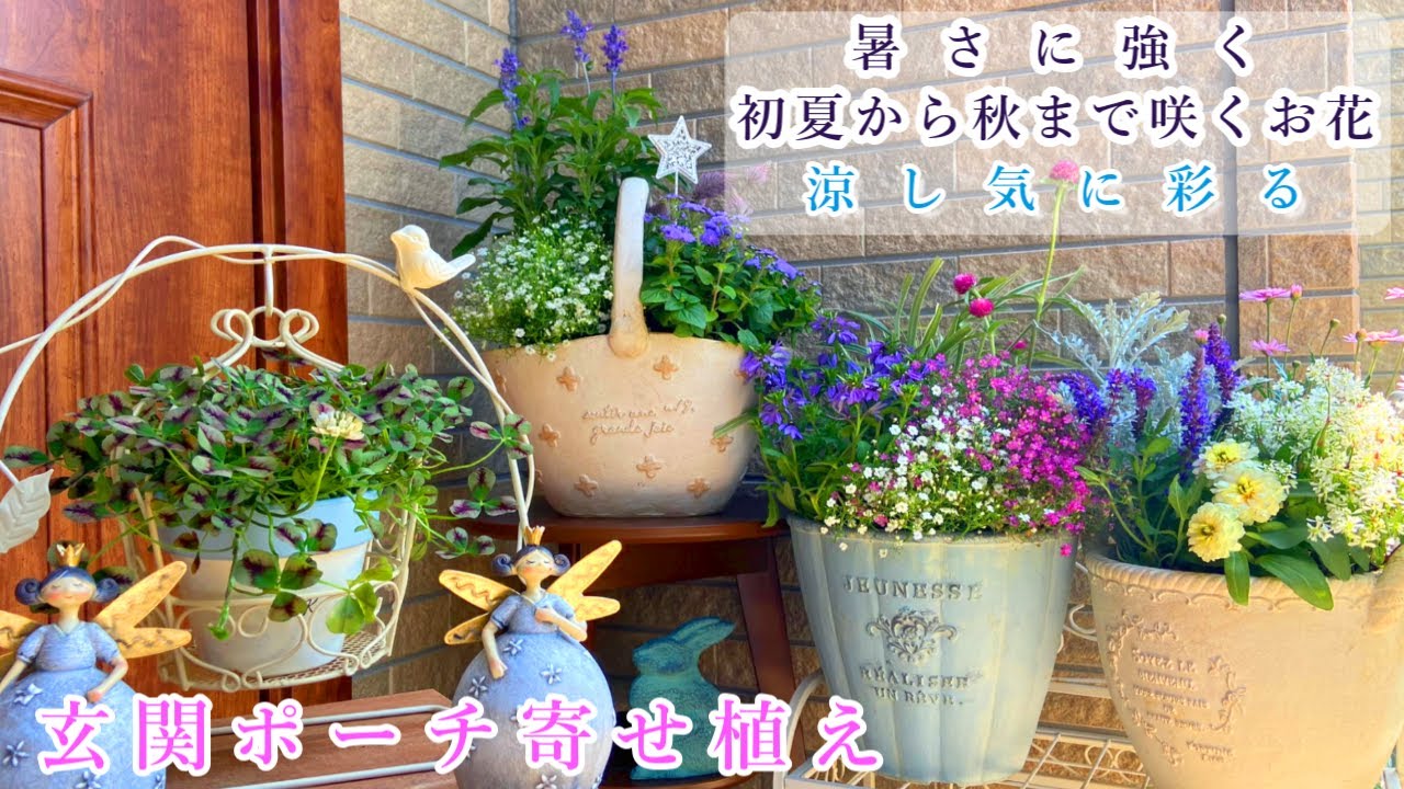 初夏から秋までずっと咲く玄関ポーチ寄せ植え 暑さに強いお花たち コンテナガーデン ガーデニング 涼し気に彩る Youtube