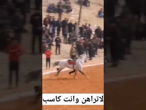 جمالك غير لاتراهن وانت كاسب الرهان شيلات Explore اكسبلور جمالك جمالك غير لايك لايك اشتراك