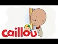 Caillou - Caillou&#39;s All Alone  (S01E04) | Cartoon for Kids