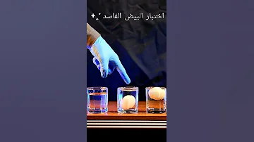 شوف كيف تعرف البيض الفاسد 