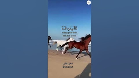 حالات واتس اب - سورة العاديات | وَالْعَادِيَاتِ ضَبْحًا، فَالْمُورِيَاتِ قَدْحًا
