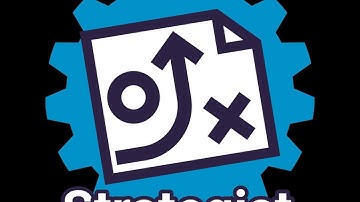 Reference Profile Series: The Strategist Manager