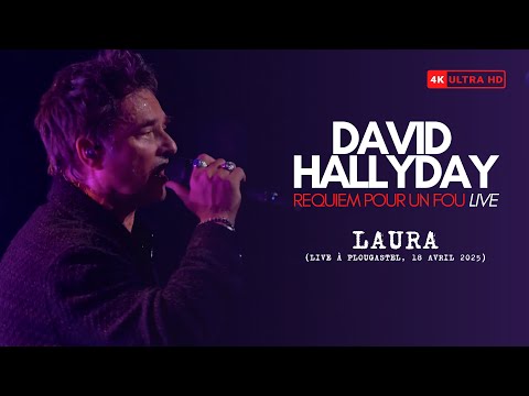 David Hallyday -