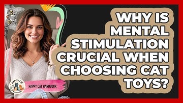 Why Is Mental Stimulation Crucial When Choosing Cat Toys? - Happy Cat Handbook