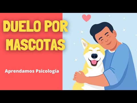 Video:  „Debido a que usted también siente la pérdida de su mascota“, „pojūtis“. Atsakykite į kitus klausimus, kad būtų galima nustatyti, ar nėra.