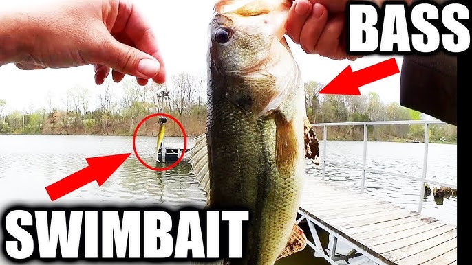 Wacky Rig Bass Fishing From the Bank - Easy Enough for a Beginner