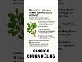 #tiktok #obuna_bolishni_unutmang #rassiya_yangiliklar #hikmatlar #automobile #rekkkkkk #laykk #kunuz