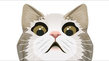 Scaredy Cat - 800 Elo Chess.com Bot!