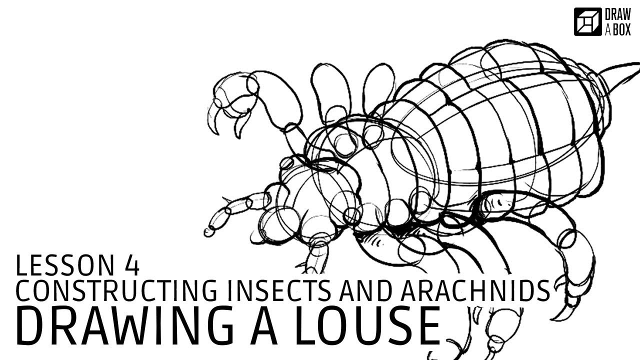 Drawabox, Lesson 4: Drawing a Louse