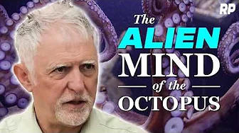Peter Godfrey-Smith: Cuttlefish, Octopuses, and the Consciousness of Mysterious Minds