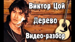 🤘 ВИКТОР ЦОЙ - ДЕРЕВО РАЗБОР НА ГИТАРЕ | Как Играть Песню Дерево Кино