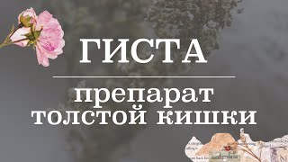 Препарат толстой кишки (строение, особенности эпителия) | Гистология