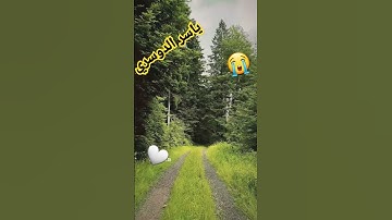 ياسر الدوسري_تلاوة خاشعة_قرآن كريم#راحة نفسية#طبيعة#الجزائر#المغرب#فلسطين