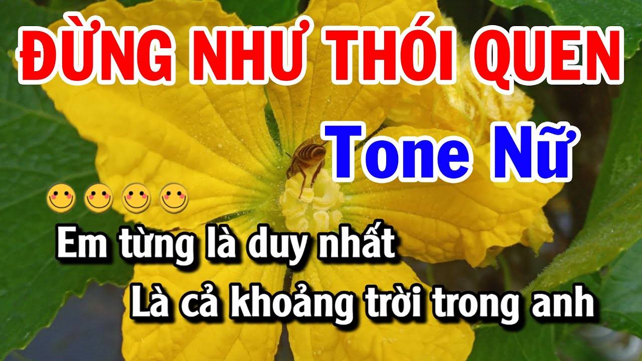 Karaoke Đừng Như Thói Quen - Tone Nữ - Nhạc Sống Tuyết Mai