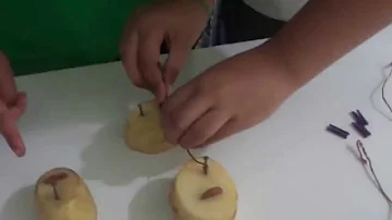 Como funciona uma pilha de batatas?