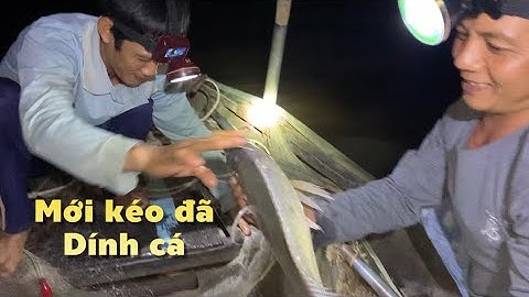 Mới kéo có mấy thước lưới đã dính cá hôm nay có bội thu và món cá Sủ độc lạ miền tây | Cldv #537