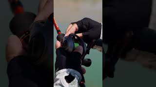 Заброс, перебежка — охота на змея! #shorts  #fishing #балык #рыбалка