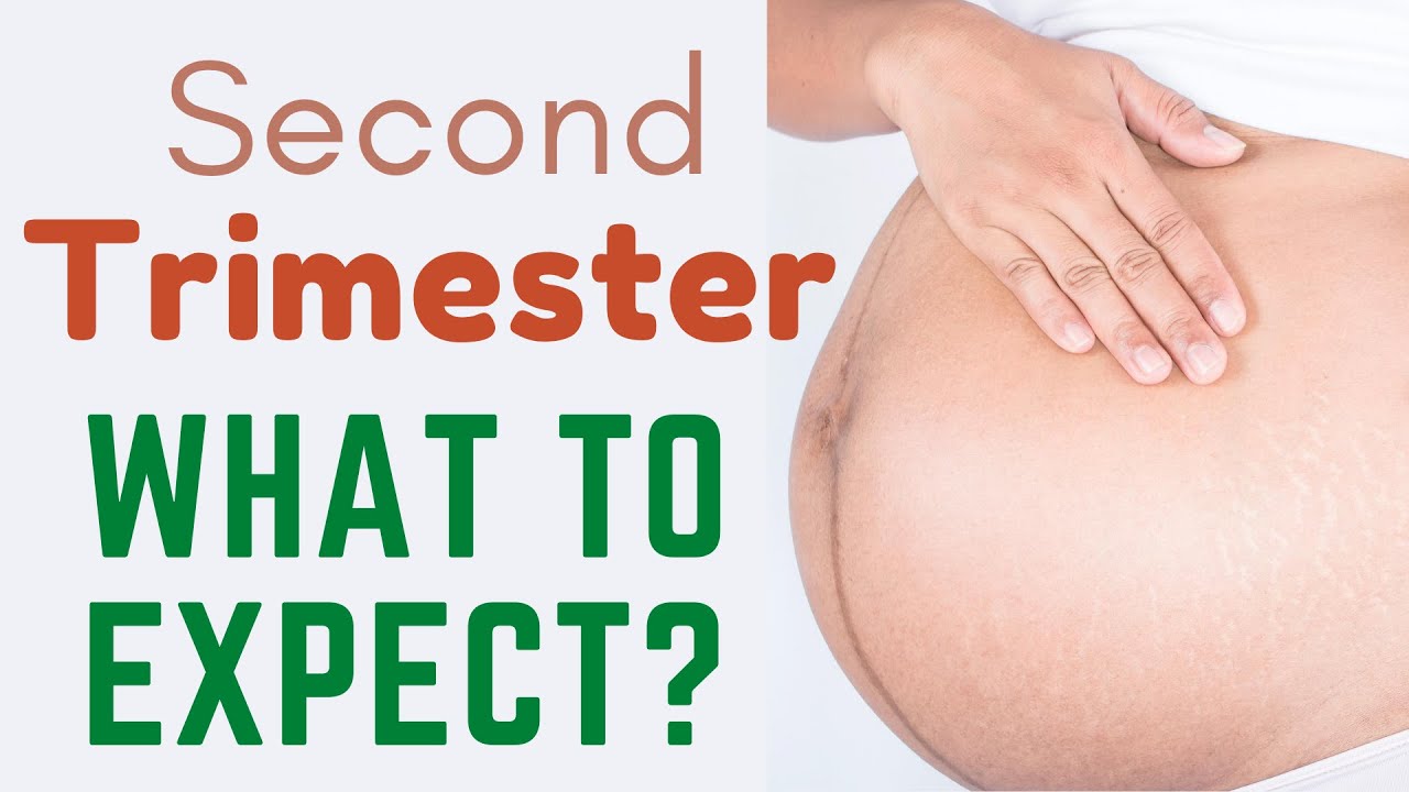 What To Expect In The Second Trimester Second Trimester Of Pregnancy