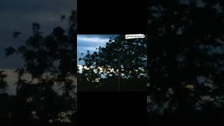 kde kde/Maninder buttar new song #lvlavi03 #natureview03 #shorts #statusvideos03 #trending #punjabi Thumb