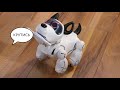 Pupbo.ru  Инструкция собака робот Pupbo | Папбо на русском языке